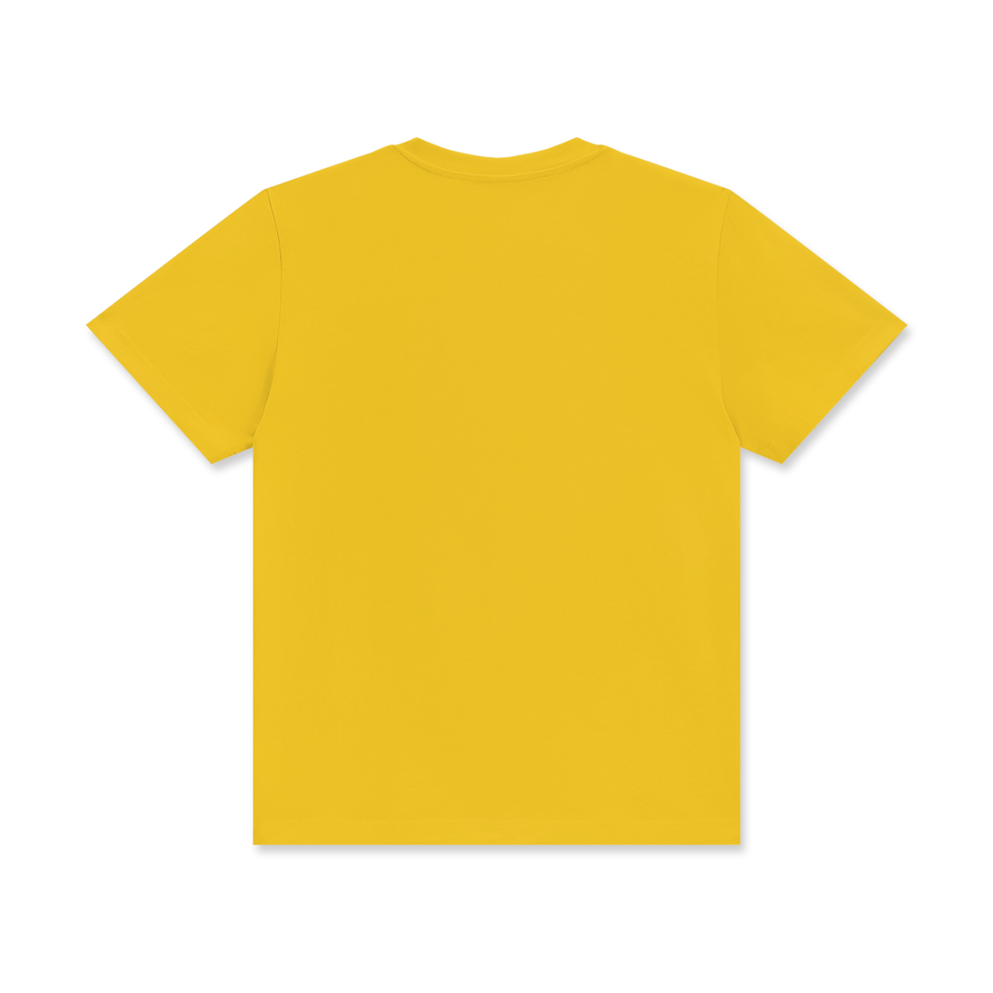 Money Print slim Tee