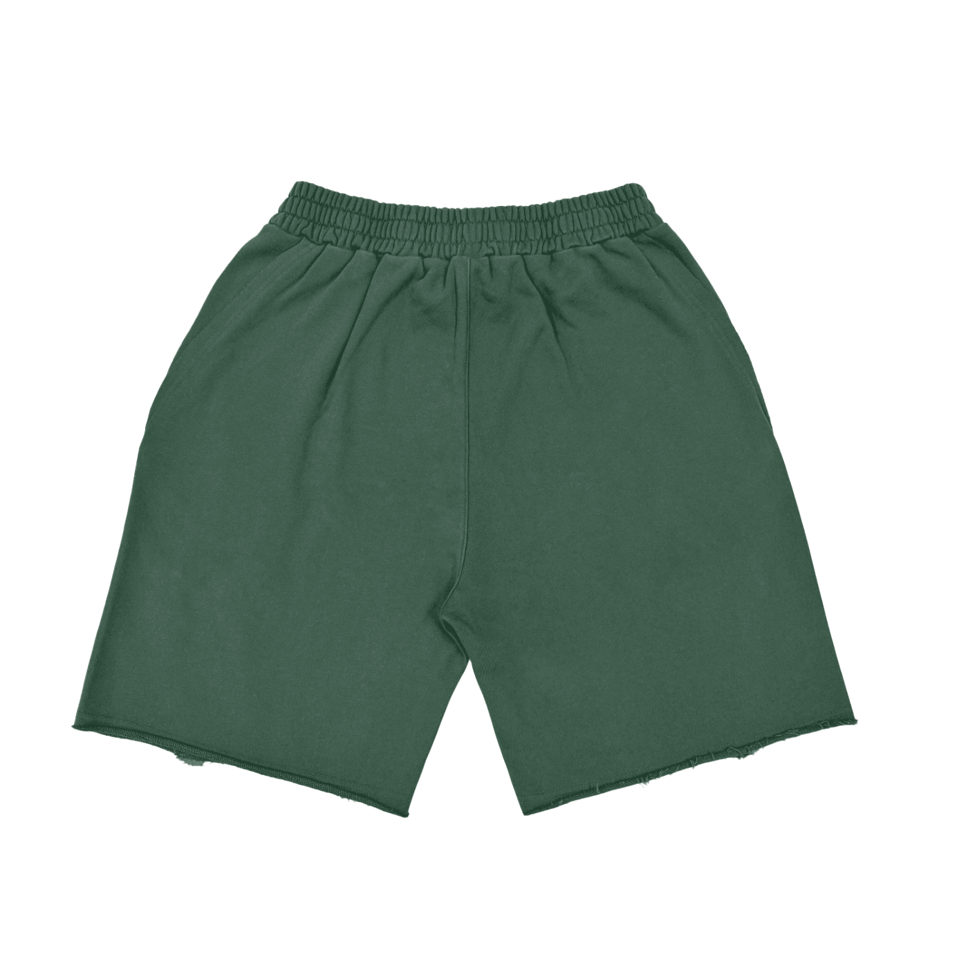 Vintage Washed Shorts